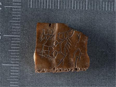  残辞卜甲 商（约前16-前11世纪）