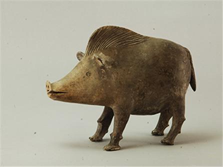 陶猪 东汉（8-220年）